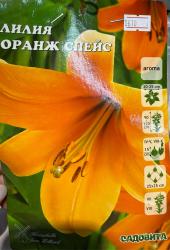 Лилия Оранж Спейс 12/14 3 шт Садовита