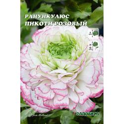 Ранункулюс Пикоти Розовый 5/6 10 шт Садовита