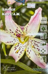 Лилия Корсаж 12/14 5 шт