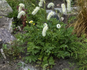 2025-11-07_08-25-31