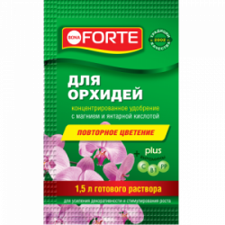 BF_sashe_2018-02_copy