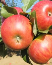 97zpzhlz3fx7mx8k2o2hep4jvnl1b0ej